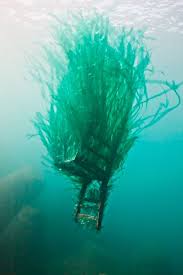 See Amazing Underwater Sculptures Made Of Our Marine Trash Underwater Sculpture Underwater Art Underwater