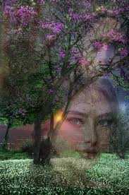 1 MORE DAY TO VOTE: The greatest victories begin with a single belief: that  anything can be done.