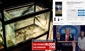 Prices Surge For Fish Tank Product With Chemical Tested As Covid 19 Drug Daily Mail Online 3 fish tanks for sale, they come as they are with added extras as seen in the photo (filters etc). prices surge for fish tank product with