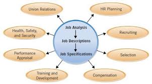Job Analysis And Hr Activities What Is Human Resource Job Analysis Industrial And Organizational Psychology Human Resources