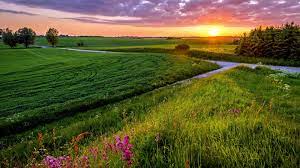 Beautiful Sunrise Pemandangan Hd Wallpaper Landscape Poster Scenery Wallpaper Scenery