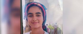 Siirt'te kaybolan 14 yaşındaki Berfin için arama çalışması başlatıldı