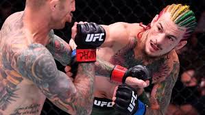 Проспект легчайшего веса ufc шон о'мэлли победил нокаутом дебютанта промоушена криса моутинью. Shon O Melli Vs Eddi Vajnlend Videoobzor Boya Ufc 250 Luchshie Momenty Hajlajty Sport Ekspress