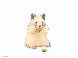 Pin By Larissa Mascarenhas On Hamsters Cute Animal Drawings Cute Cartoon Images Cute Drawings