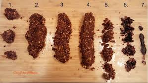 Image result for dark black stool human poop