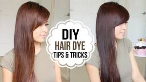 Look at hairstyle magazines for colors you might like. At Home Hair Dye Color Tips And Tricks Bebexo Lifestyle Blog
