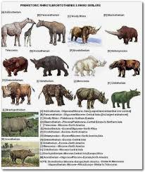 Species Evolution Chart History Prehistoric Prehistoric