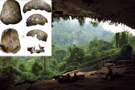 Image result for niah cave