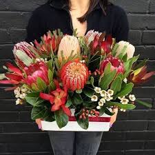 Daily Inspiration 1 Large Flower Arrangements Australian Native Flowers Hawaiian Flower Arrangements