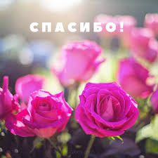 Вы можете поблагодарить за помощь, за внимание, за подарок, за поздравление. Kartinka Spasibo Dlya Facebook Whatsapp Rozabox Com