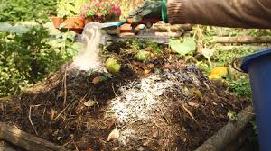 Oft fällt beim beschneiden von bäumen bergeweise schnittgut an. Gartentipp Kompost Anlegen Und Pflegen Garten Kaffee Oder Tee Swr De
