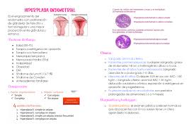 Hiperplasia de endometrio - cancer de endometrio - Es el engrosamiento del  endometrio con - Studocu