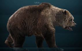The Magnificent Cave Bear A K A Short Faced Bear Not A Good Companion Animal Cave Bear Bear Prehistoric Animals