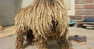 Pin On Curly Hair