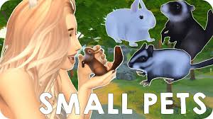Just when you think it's not possible, it is. Guinea Pigs Chinchillas Gerbils More Sims 4 Small Pets Mod Review Youtube