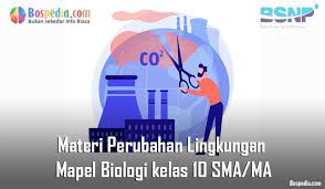 Contoh soal keseimbangan lingkungan kelas 10. Materi Perubahan Lingkungan Mapel Biologi Kelas 10 Sma Ma Bospedia