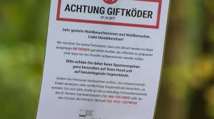 Immer wieder gibt es sie. So Erkennen Sie Ob Ihr Hund Einen Giftkoder Gefressen Hat Frankfurt