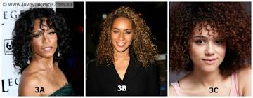 Haircuts for type 3b curly hair. 3a Vs 3b Curls Novocom Top