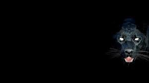 Http Rontalk Com Wp Content Uploads Black Jaguar Animal Wallpaper Widescren Jpg Jaguar Animal Black Panther Images Black Panther Hd Wallpaper