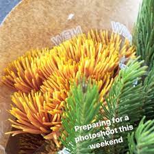 We only work with trusted, locally owned florists in west. Flowers Wholesale Flower Shop In West Hollywood