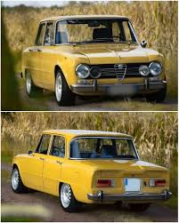 Image result for Giallo 1966 Alfa-Romeo