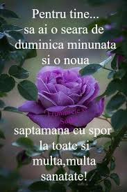 Pin By Loredana Frana On Buna Seara Good Morning Love Gif Weekend