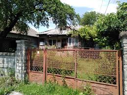 Pe va transmite recomandarile comisiei juri. Casa Parinteasca A Patrioatei Rovana Plumb Este O Ruina Mizerabila Ea Vrea Sa Reprezinte Romania La Bruxelles Aktual24