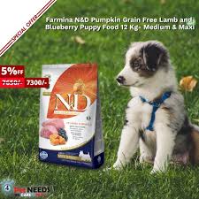 Lamb is source of high protein which builds good muscle mass, repairs body tissues and. Farmina N D Pumpkin Grain Free Lamb And Blueberry Puppy Food 12 Kg Medium Maxi At Best Price Buy Now Https Www Dog Food Recipes Puppy Food Puppies