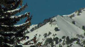 A special avalanche warning has been issued for people venturing out into the backcountry for parts of northern british columbia and alberta. Avalanche Warning High Risk In Northern Utah Kutv