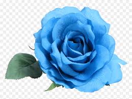 In the large flowers png gallery, all of the files can be used for commercial purpose. Blue Rose Clip Art Transparent Blue Flower Png Png Download Vhv
