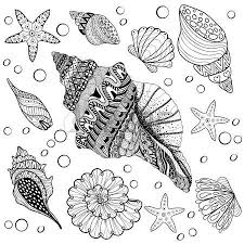 56723458 Vektor Kumesi Kabuklar Yetiskin Anti Stres Boyama Sayfalari Icin Zentangle Seeshell Desenli Deniz Jpg 450 Zentangle Patterns Zentangle Animals Art