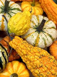 You're getting that information from the wiki, right? Item Of The Day Mixed Decorative Gourds What Chefs Want