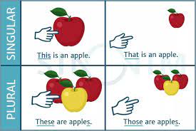 Difference Between This That These Those