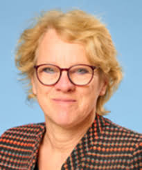 Securitization of local adaptation: Signs of riskification in a Dutch  region