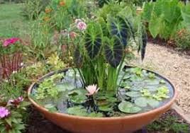 How to build a soothing fountain Water Gardening In Containers Enjoy Container Gardening
