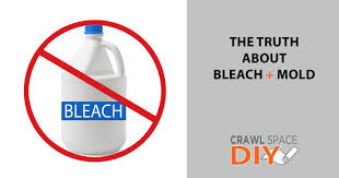 We share when to use it and 3 alternatives. The Truth About Bleach Mold Cleaning Alternatives Crawl Space Diy