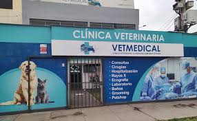 Clinica Veterinaria