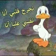 pin by roro on بالبلدي بالمصري funny relatable quotes fun quotes funny funny photo memes