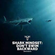 Double Tap Comment Shark Words By Words Follow Beastdesire Welcome To The World Of Beast Motivation Fee Shark Quotes Beast Quotes Desire Quotes