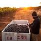 Kosta Browne Wine Dinner