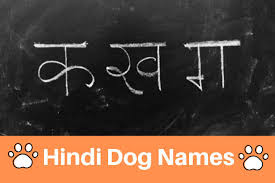Angarika — here is another hindi name which is related to fire. Top 100 Hindi Dog Names Best Dog Names In Hindi