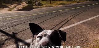 622 ответов 2 399 ретвитов 12 005 отметок «нравится». Hund Aus Far Cry 5 Erklart Warum Ihr Ihn Unbedingt Mitnehmen Solltet