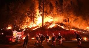Do the following statements agree with the. Wildfires Debating Science