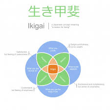 Have You Ever Practiced Ikigai During Your Studies