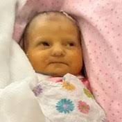 Sexton Family Obituaries