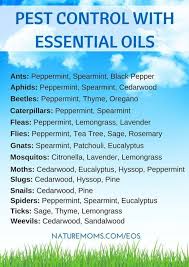 Essential oils are a great option for not only keeping insects away when you are outside but also at super young babies (less than 6 months old) should not have essential oils applied, even diluted. Yleo Pest Control