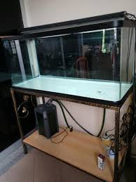 Aquariums for sale fish tanks for freshwater, saltwater, and reef aquariums. 4 Feet Aquarium For Sale Malaysia Malaybaba