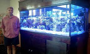 *indoors* 300 gallon stock tank setup! Want A 300 Gallon Aquarium Setup Opinions Aquarium Setup Aquarium 300 Gallon Aquarium