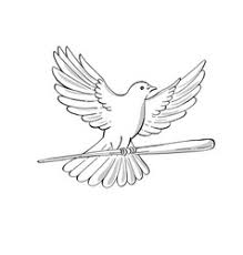 My new pen & ink drawing workbook: Pigeon Drawing Vector Images Over 3 700