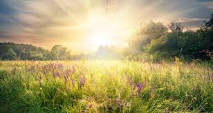 City in southeastern florida west of fort lauderdale population 84. June 14th The Earliest Sunrise Of 2021 Farmers Almanac